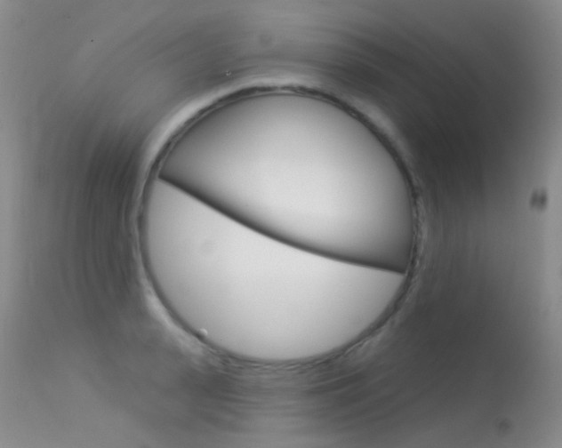 X0000113610943200909181048