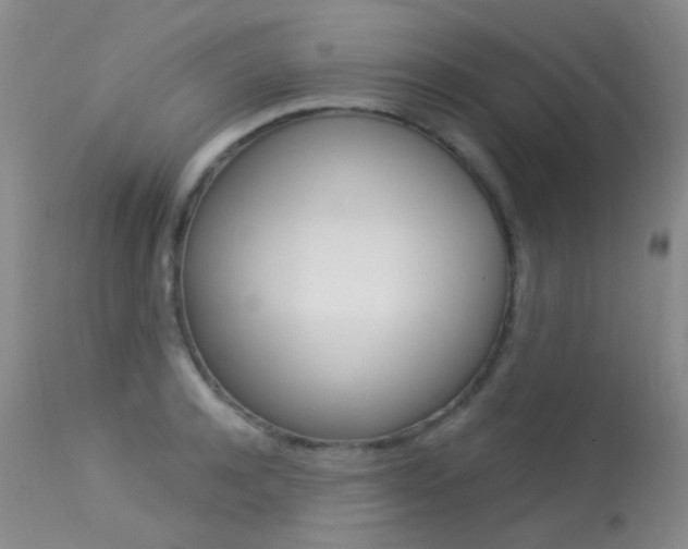 X0000113610944200909181048