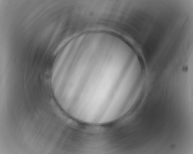 X0000113610945200909181048