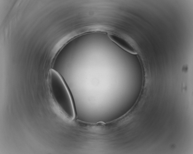 X0000113610946200909181048