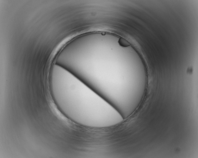 X0000113610947200909181048