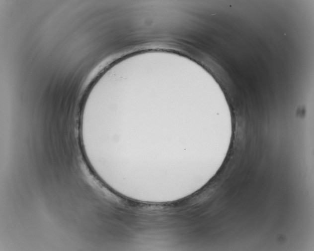 X0000113610950200909181048