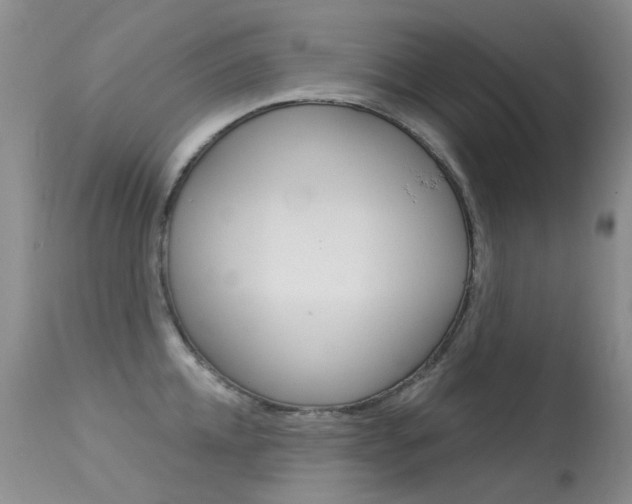 X0000113610952200909181048