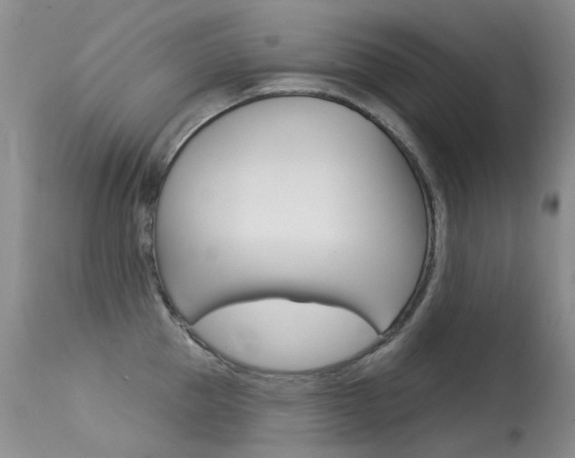 X0000113610953200909181048