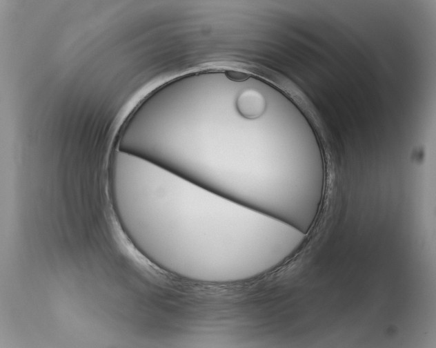 X0000113610955200909181048