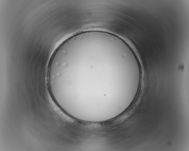 X0000113610957200909181048