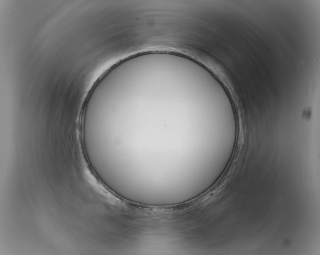 X0000113610958200909181048