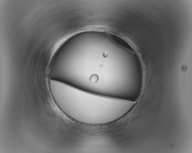 X0000113610960200909181048