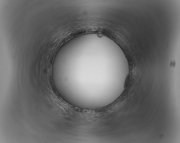 X0000113610961200909181047