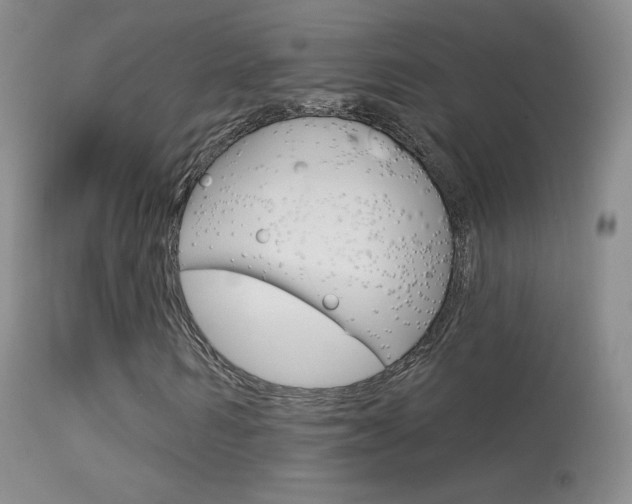 X0000113610962200909181047