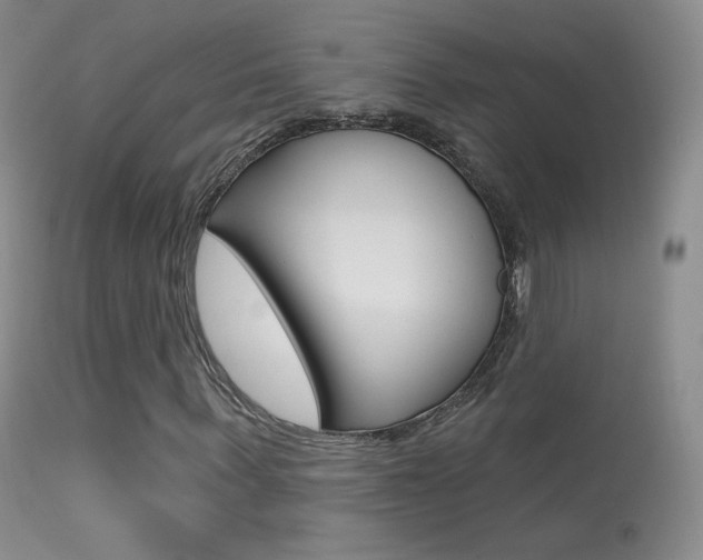 X0000113610963200909181047
