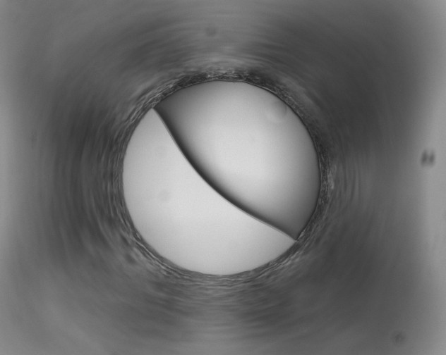 X0000113610964200909181047