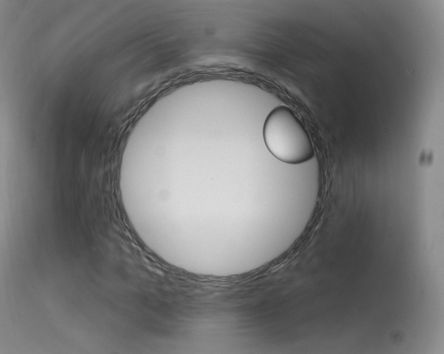 X0000113610965200909181047