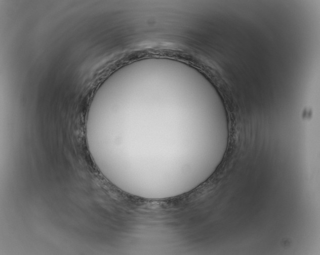 X0000113610966200909181047