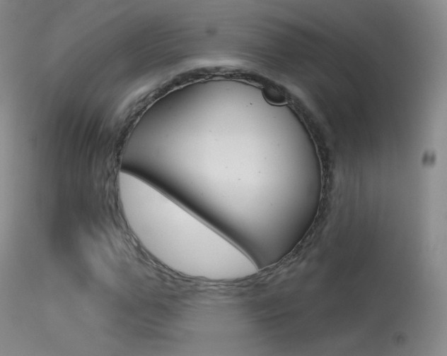 X0000113610967200909181047