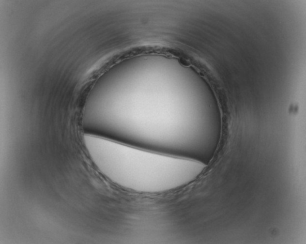 X0000113610968200909181047