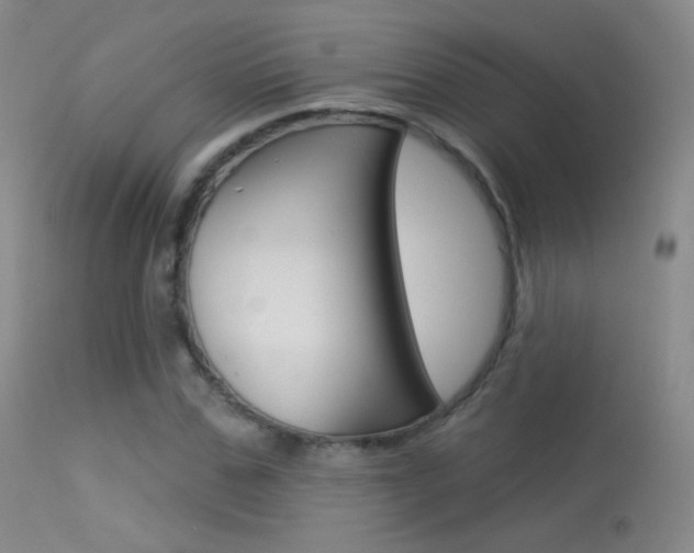 X0000113610971200909181047