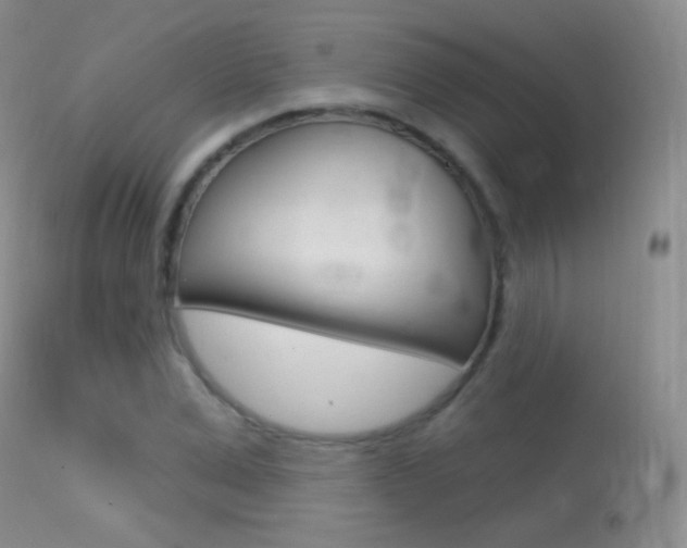 X0000113610975200909181047