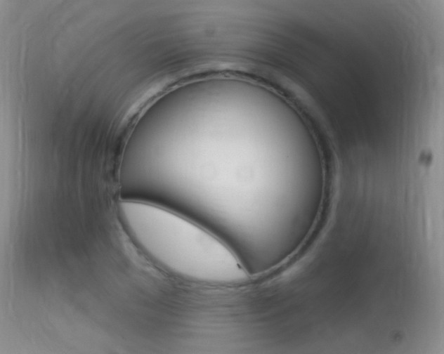 X0000113610977200909181047