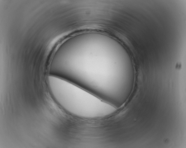 X0000113610979200909181047