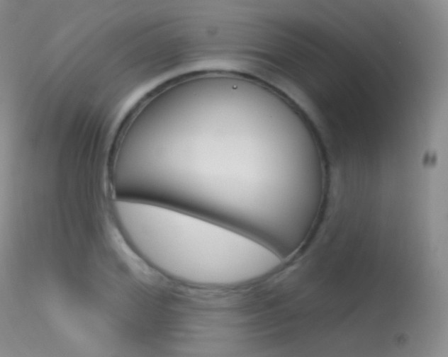 X0000113610980200909181047