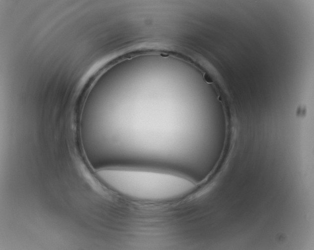 X0000113610981200909181047