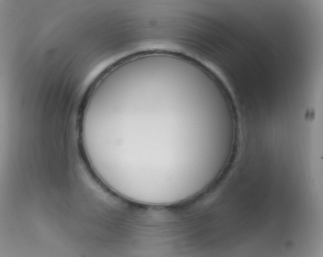 X0000113610983200909181047