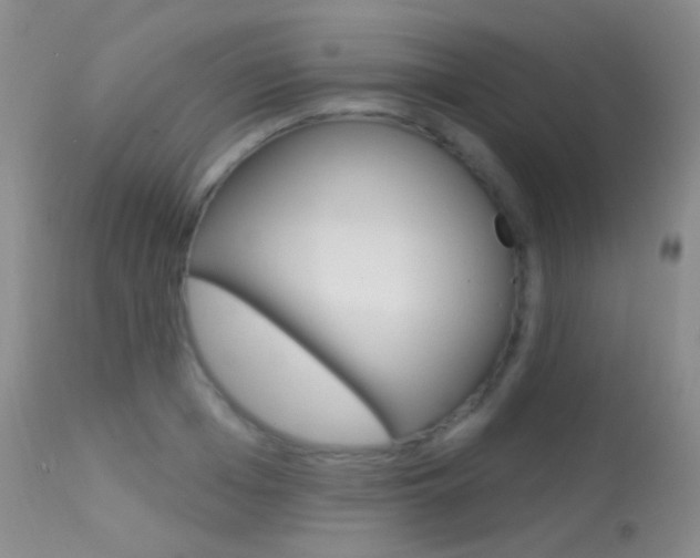 X0000113610985200909181047