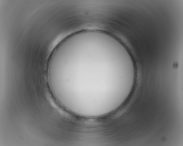 X0000113610986200909181047