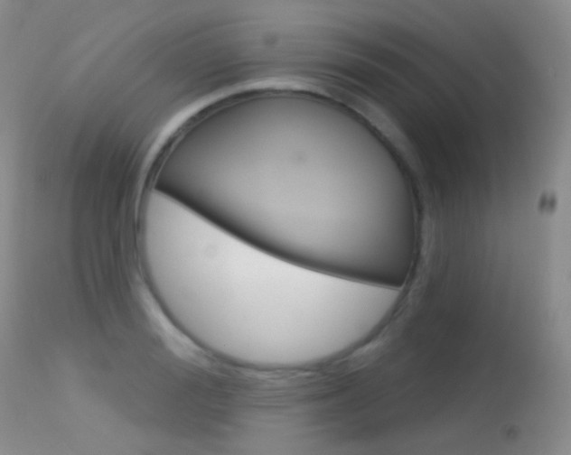 X0000113610988200909181047