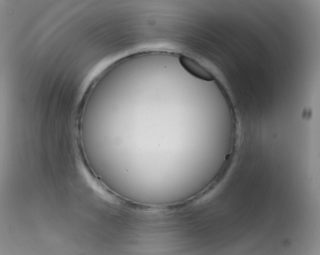 X0000113610989200909181047