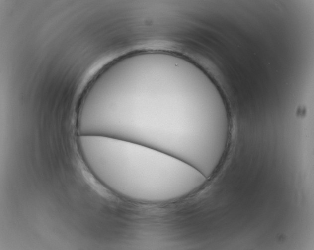 X0000113610990200909181047