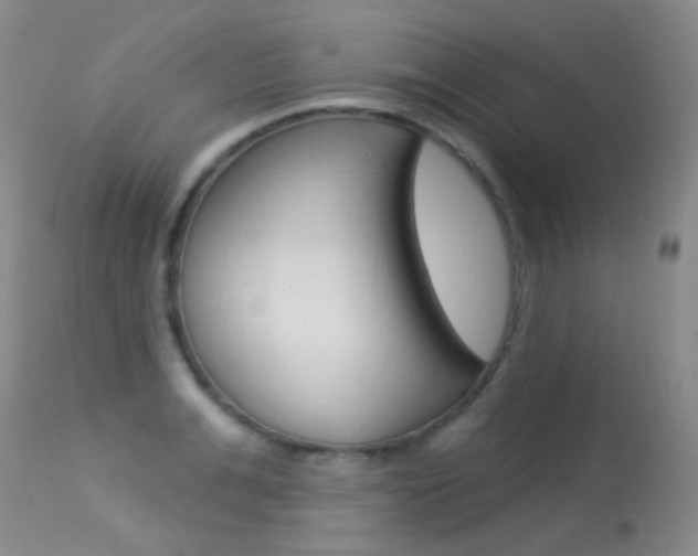 X0000113610991200909181047