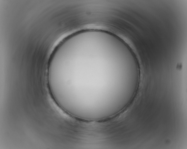 X0000113610992200909181047
