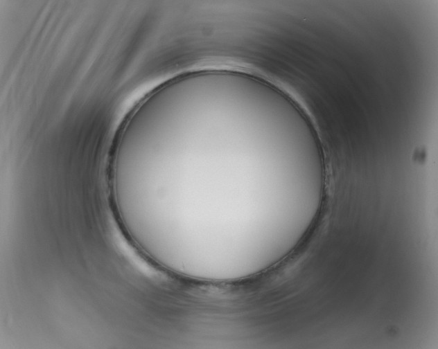 X0000113610995200909181047
