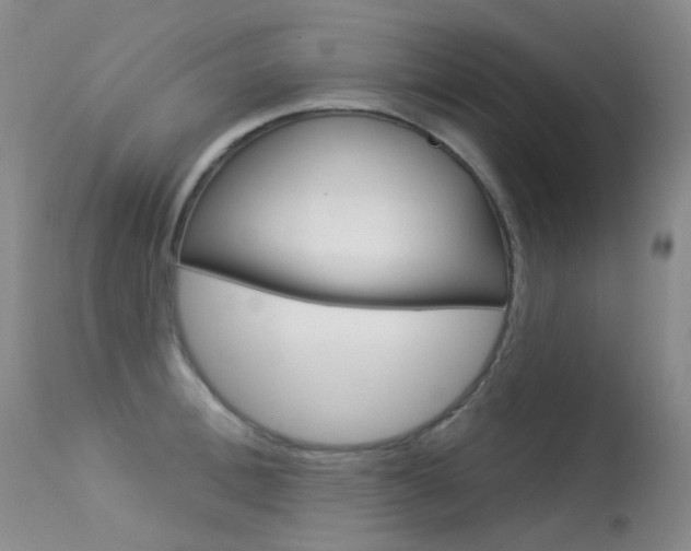 X0000113610996200909181047