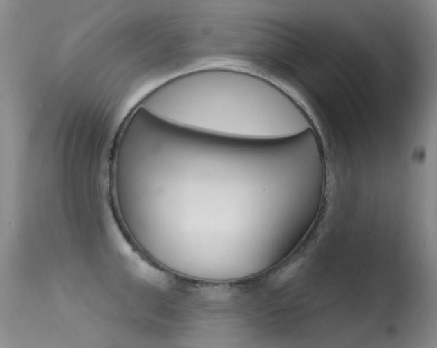 X0000113610999200909181047