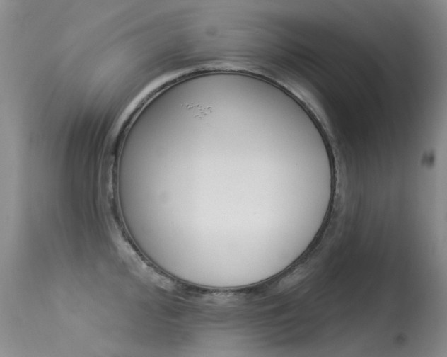 X0000113611000200909181047
