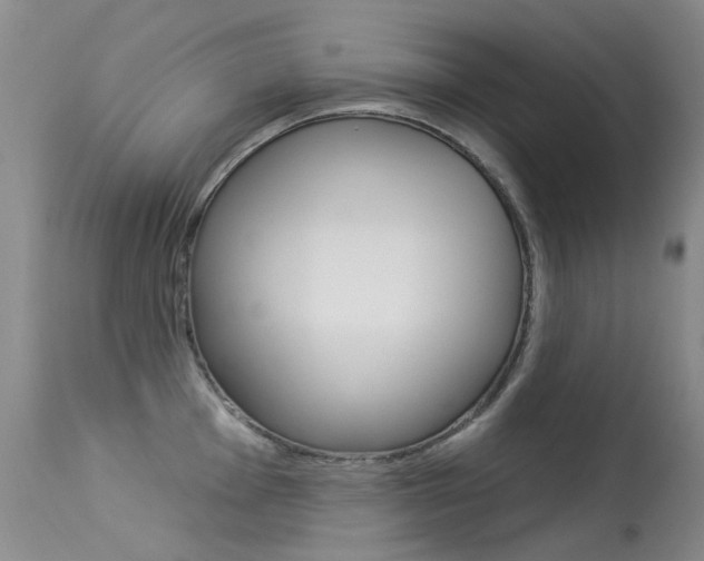 X0000113611001200909181047