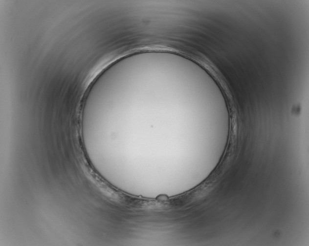 X0000113611002200909181047