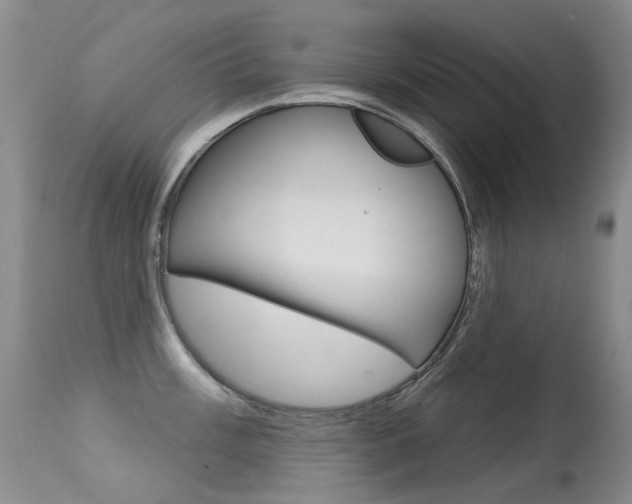 X0000113611003200909181047
