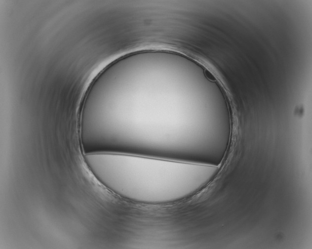X0000113611004200909181047