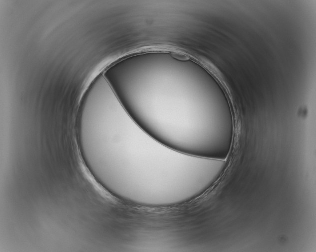 X0000113611005200909181047