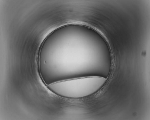 X0000113611007200909181047