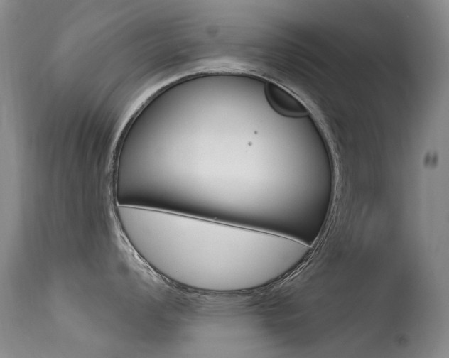 X0000113611008200909181047