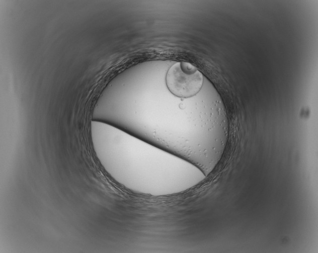 X0000113611009200909181046