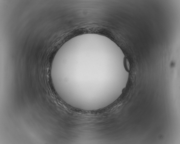 X0000113611010200909181046