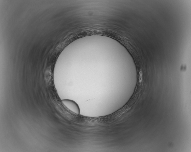 X0000113611011200909181046