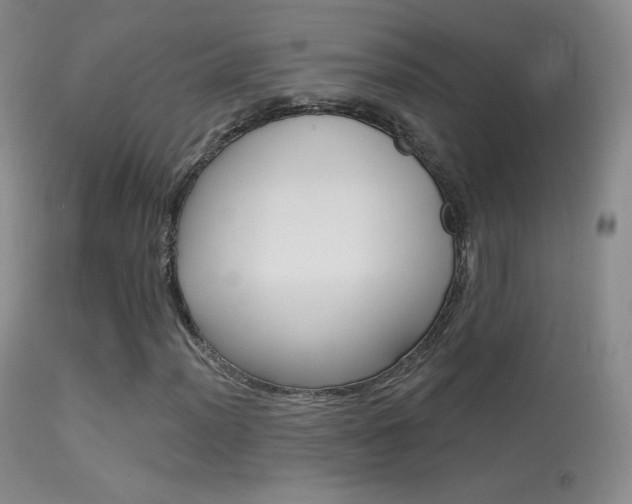 X0000113611012200909181046