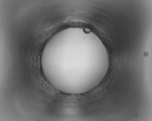 X0000113611013200909181046
